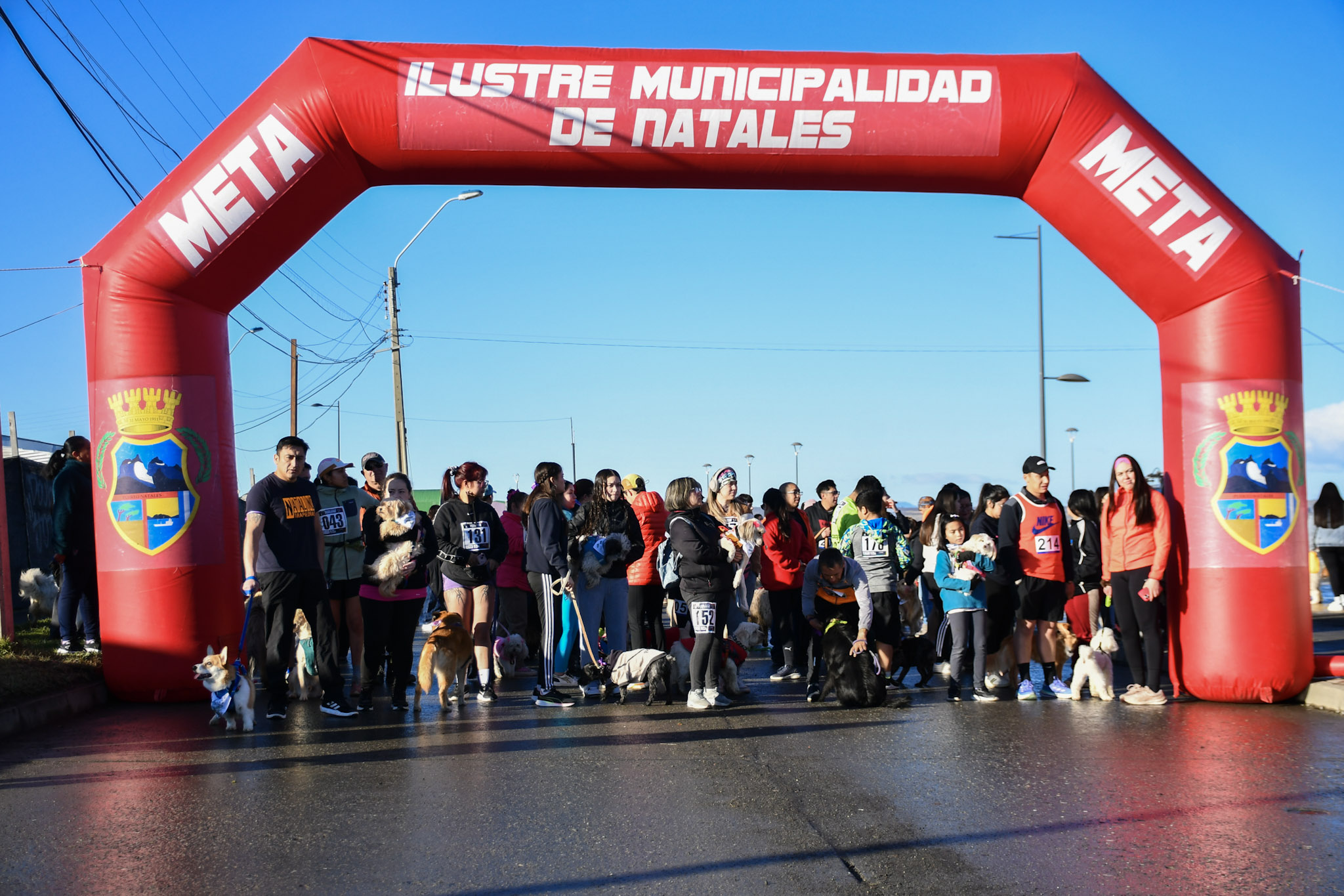 495856955_734467252248134_3094399085220778732_n