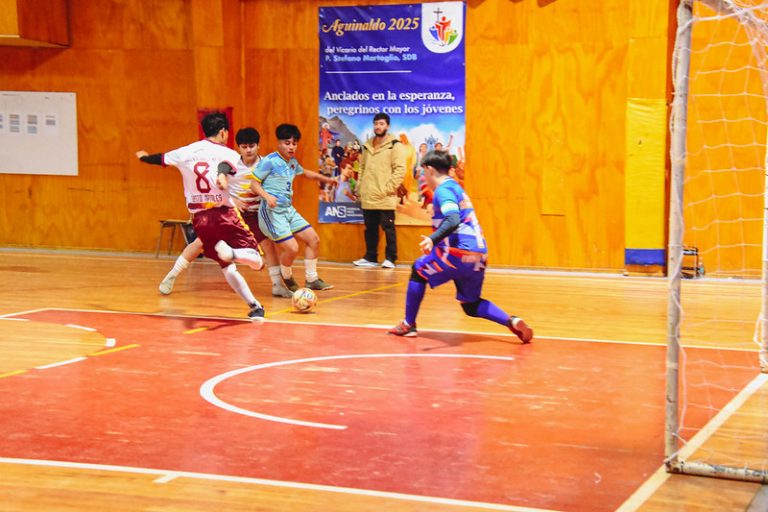 54607428164_c9c3f3d36e_c